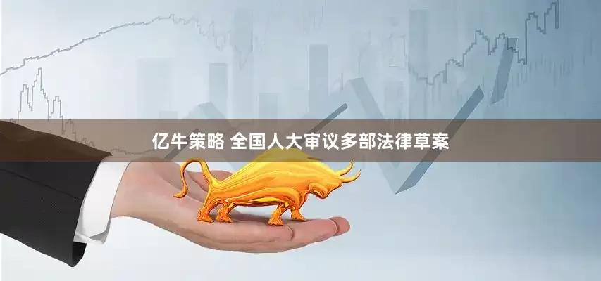亿牛策略 全国人大审议多部法律草案