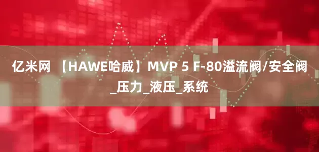 亿米网 【HAWE哈威】MVP 5 F-80溢流阀/安全阀_压力_液压_系统